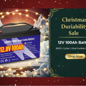 WinPower 12V 100Ah LiFePO4 Battery for RV Camping