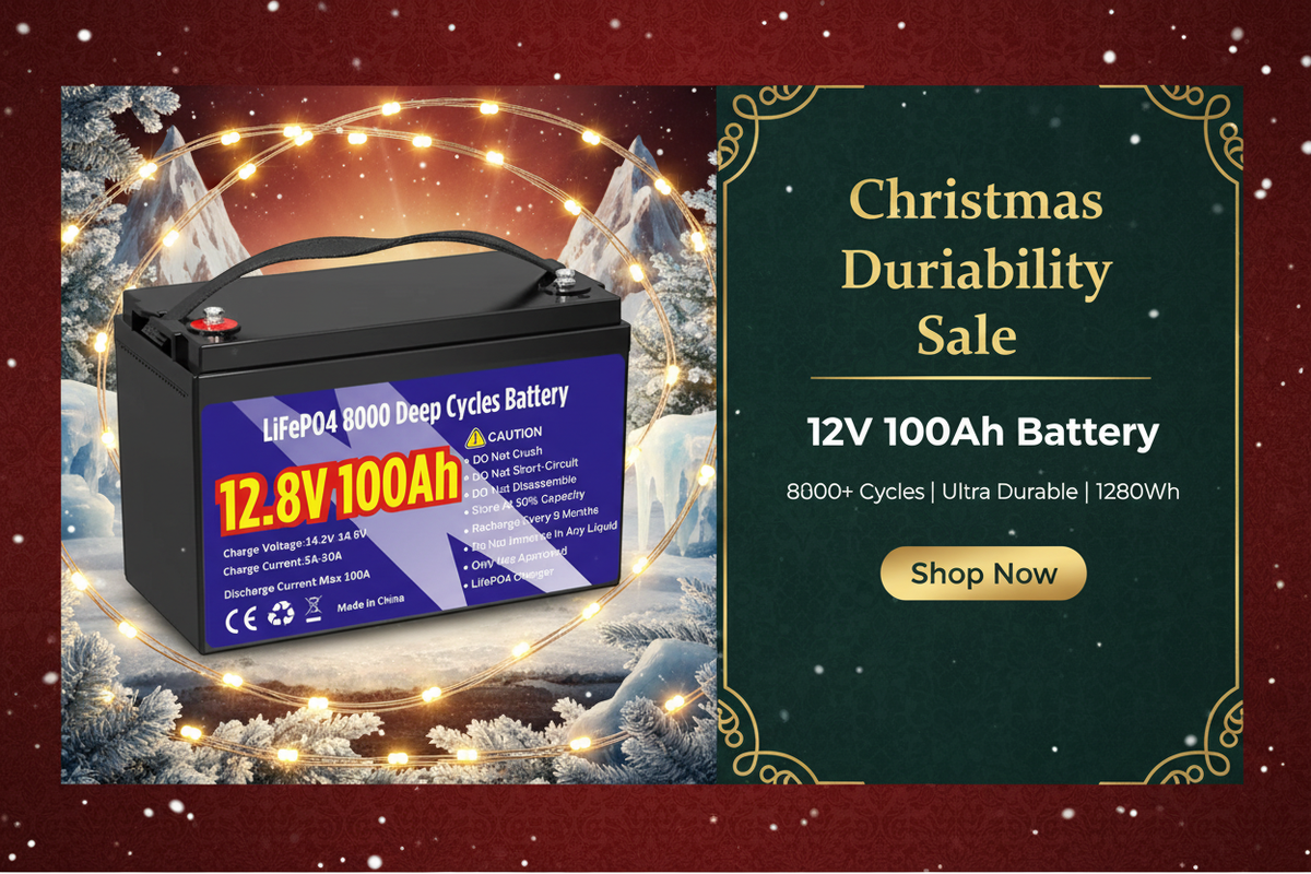 WinPower 12V 100Ah LiFePO4 Battery for RV Camping