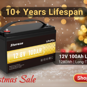 WinPower 12V 100Ah LiFePO4 Battery - 10+ Year Lifespan