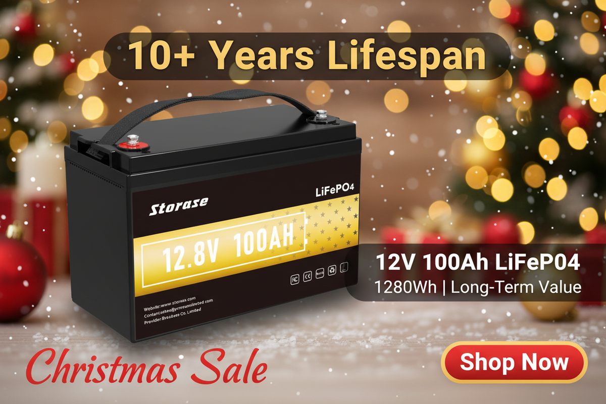 WinPower 12V 100Ah LiFePO4 Battery - 10+ Year Lifespan