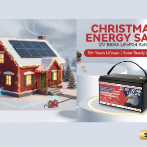 WinPower 12V 100Ah LiFePO4 Battery Standard