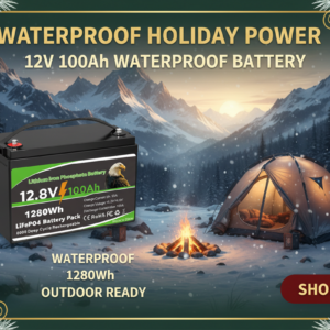 WinPower 12V 100Ah LiFePO4 Battery Waterproof