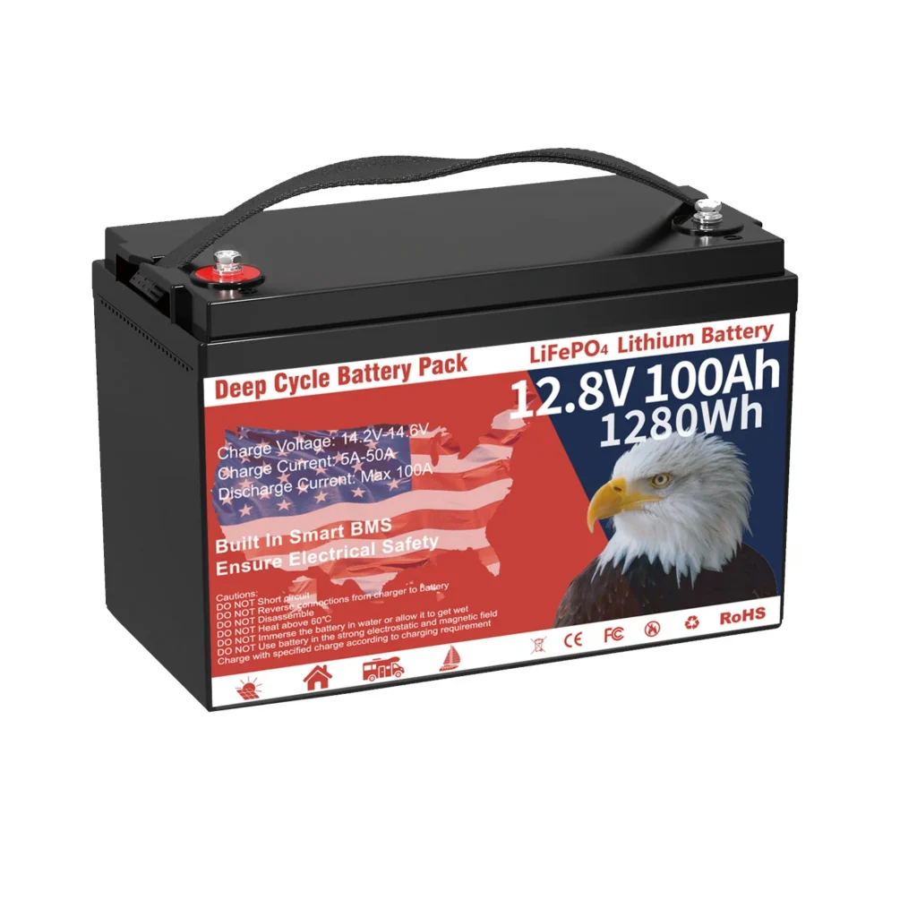 WinPower 12V 100Ah LiFePO4 Battery